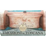 Мыло твердое туалетное термальный источник Emozioni in Toscana Nesti Dante/Нести Данте 250г Мыло твердое туалетное термальный источник Emozioni in Toscana Nesti Dante/Нести Данте 250г