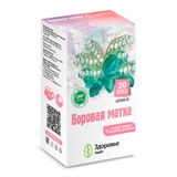 Боровая матка Health Здоровье фильтр-пакет 1,5г 20шт Боровая матка Health Здоровье фильтр-пакет 1,5г 20шт