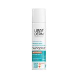 Аэрозоль-пена для чувствительной кожи восстанавливающий Skinoplast Duo Librederm/Либридерм фл. 58г Аэрозоль-пена для чувствительной кожи восстанавливающий Skinoplast Duo Librederm/Либридерм фл. 58г