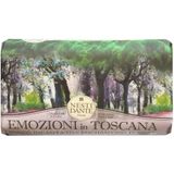 Мыло твердое туалетное очарованный лес Emozioni in Toscana Nesti Dante/Нести Данте 250г Мыло твердое туалетное очарованный лес Emozioni in Toscana Nesti Dante/Нести Данте 250г