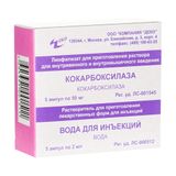 Кокарбоксилаза лиофилизат для приг. раствора для в/в и в/м введ. 50мг 5шт+Вода для инъекций 2мл 5шт Кокарбоксилаза лиофилизат для приг. раствора для в/в и в/м введ. 50мг 5шт+Вода для инъекций 2мл 5шт