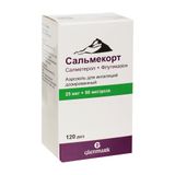 Сальмекорт аэрозоль для ингаляций дозированный 25мкг+50мкг/доза 120доз Сальмекорт аэрозоль для ингаляций дозированный 25мкг+50мкг/доза 120доз