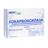 Кокарбоксилаза лиофилизат для приг. раствора для в/в и в/м введ. 50мг 5шт+Вода для инъекций 2мл 5шт Кокарбоксилаза лиофилизат для приг. раствора для в/в и в/м введ. 50мг 5шт+Вода для инъекций 2мл 5шт