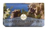Мыло твердое туалетное прикосновение средиземноморья Emozioni in Toscana Nesti Dante/Нести Данте 250г Мыло твердое туалетное прикосновение средиземноморья Emozioni in Toscana Nesti Dante/Нести Данте 250г