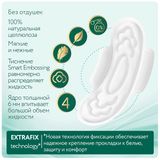 Прокладки женские гигиенические аромат ромашка Silk Sense Classic wings Normal в инд. Ola! 10шт Прокладки женские гигиенические аромат ромашка Silk Sense Classic wings Normal в инд. Ola! 10шт