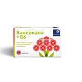 Валериана+В6 Проаптека таблетки 94мг 50шт Валериана+В6 Проаптека таблетки 94мг 50шт