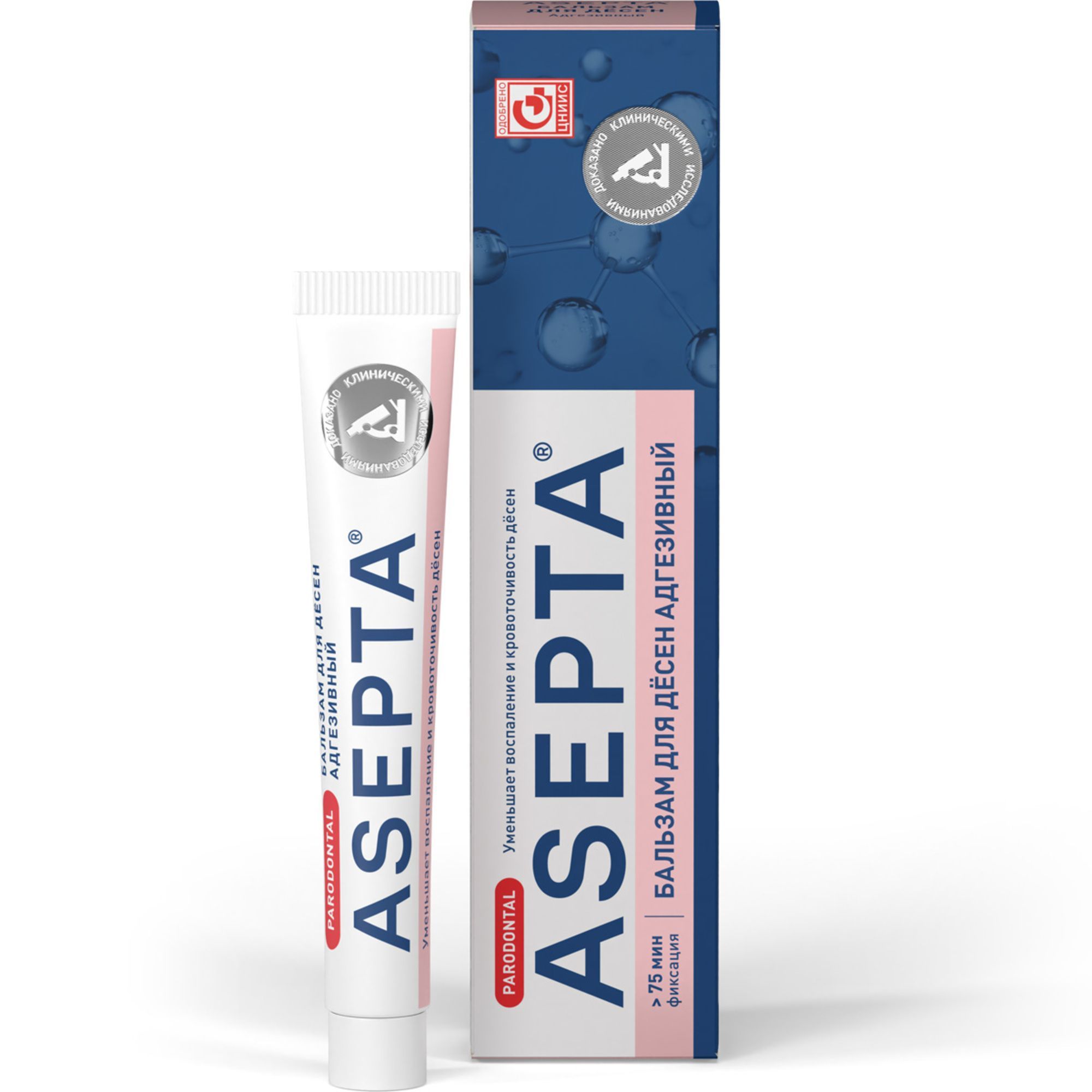 Изображение товара Бальзам для десен адгезивный Parodontal Асепта 10г