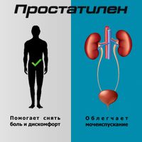 Простатилен Форте суппозитории ректальные 5мг 10шт миниатюра фото №4