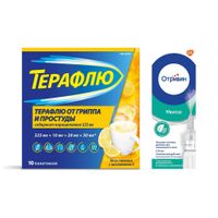 1X Отривин с ментолом и эвкалиптом спрей назальный дозированный 140мкг/доза 10мл + 1X ТераФлю вкус лимона порошок для приг. раствора для приема внутрь пак. 325мг+10мг+20мг+50мг 10шт 1X Отривин с ментолом и эвкалиптом спрей назальный дозированный 140мкг/доза 10мл + 1X ТераФлю вкус лимона порошок для приг. раствора для приема внутрь пак. 325мг+10мг+20мг+50мг 10шт