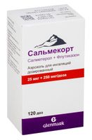 Сальмекорт аэрозоль для ингаляций дозированный 25мкг+250мкг/доза 120доз