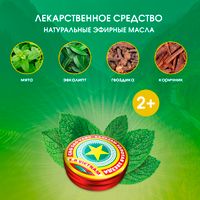 Золотая звезда бальзам для наружного применения 4г миниатюра фото №3