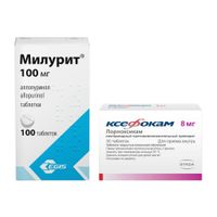 1X Милурит таблетки 100мг 100шт + 1X Ксефокам таблетки п/о плен. 8мг 30шт