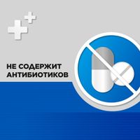 Стрепсилс Экспресс таблетки для рассас. 24шт миниатюра фото №3