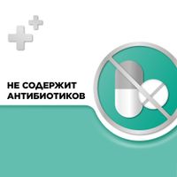 Стрепсилс ментол-эвкалипт таблетки для рассасывания 36шт миниатюра фото №4