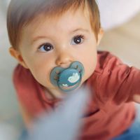 Соска-пустышка силиконовая ортодонтическая с футляром 6-18 мес. Ultra Soft Philips Avent 2шт (SCF091/15) миниатюра фото №4 Соска-пустышка силиконовая ортодонтическая с футляром 6-18 мес. Ultra Soft Philips Avent 2шт (SCF091/15) миниатюра фото №4