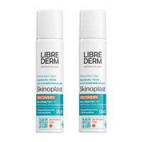2Х Пена-аэрозоль для чувствительной кожи восстанавливающий Skinoplast Duo Librederm/Либридерм фл. 58г
