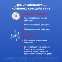 Камистад гель для местного применения 20мг/г+185мг/г 10г миниатюра фото №2