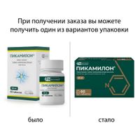 Пикамилон таблетки 50мг 60шт миниатюра фото №2