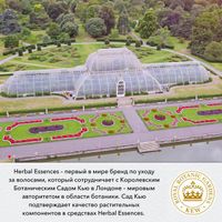 HERBAL ESSENCES (Хербал Эсенсес) Шампунь Марокканское аргановое масло, 400мл миниатюра фото №6