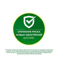Фитолизин капсулы 40шт миниатюра фото №5