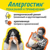 Аллергостин таблетки п/о плен. 10мг 10шт миниатюра фото №6