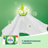 Бумага туалетная влажная Skin Kind Kleenex/Клинекс 38шт миниатюра фото №5 Бумага туалетная влажная Skin Kind Kleenex/Клинекс 38шт миниатюра фото №5