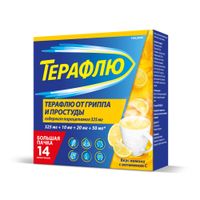 ТераФлю вкус лимона порошок для приг. раствора для приема внутрь пак. 325мг+10мг+20мг+50мг 14шт ТераФлю вкус лимона порошок для приг. раствора для приема внутрь пак. 325мг+10мг+20мг+50мг 14шт