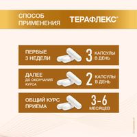 Терафлекс капсулы 500мг+400мг 100шт миниатюра фото №4