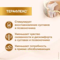 Терафлекс капсулы 500мг+400мг 100шт миниатюра фото №5