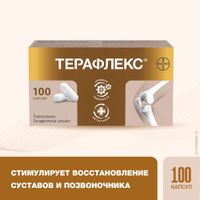 Терафлекс капсулы 500мг+400мг 100шт миниатюра фото №2