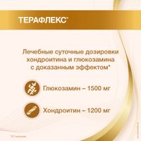Терафлекс капсулы 500мг+400мг 100шт миниатюра фото №6