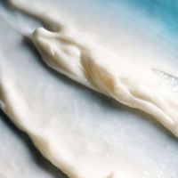 Крем для лица антивозрастной ночной Telomerol/Теломерол фл. 50мл миниатюра фото №6 Крем для лица антивозрастной ночной Telomerol/Теломерол фл. 50мл миниатюра фото №6
