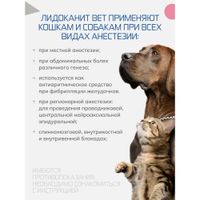 Лидоканит Вет раствор для инъекций для кошек и собак фл. 20мг/мл 20мл миниатюра фото №2 Лидоканит Вет раствор для инъекций для кошек и собак фл. 20мг/мл 20мл миниатюра фото №2