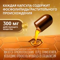 Эссенциале форте Н капсулы 300мг 90шт миниатюра фото №2 Эссенциале форте Н капсулы 300мг 90шт миниатюра фото №2