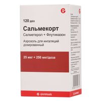 Сальмекорт аэрозоль для ингаляций дозированный 25мкг+250мкг/доза 120доз