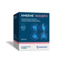Амбене Хондро капсулы 500мг 60шт миниатюра фото №3