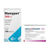 1X Милурит таблетки 300мг 100шт + 1X Ксефокам таблетки п/о плен. 8мг 10шт