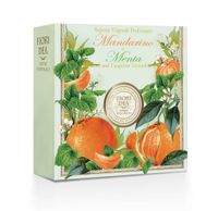 Мыло кусковое мандарин и мята Fiori Dea/Фьери Дея 100г
