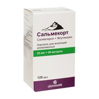 Сальмекорт аэрозоль для ингаляций дозированный 25мкг+50мкг/доза 120доз