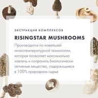 Кордицепс гриб с мумие Risingstar капсулы 450мг 60шт миниатюра фото №5