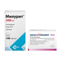 1X Милурит таблетки 300мг 100шт + 1X Ксефокам таблетки п/о плен. 8мг 30шт