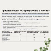 Грибная серия Агарикус+Чага с Мумие Risingstar капсулы 450мг 60шт
