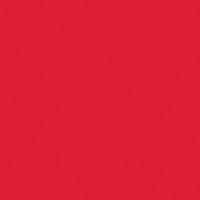 Карандаш для губ Wet n Wild (Вет Энд Вайлд) Color Icon Lipliner Pencil E717 Berry red 1,4 г миниатюра фото №2