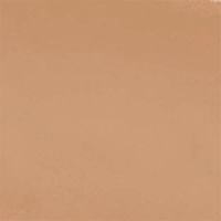Корректор жидкий Wet n Wild Photo Focus Concealer E842b medium tawny миниатюра фото №2
