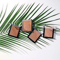 Бронзирующая пудра для лица Wet n Wild Color Icon Bronzer ticket to brazil, 11 gr