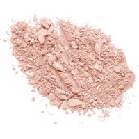 Пудра-Хайлайтер Wet n Wild MegaGlo Highlighting Powder E319b blossom glow