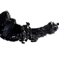 Тени для век одноцветные Wet n Wild Color Icon Eyeshadow Single E347a panther миниатюра