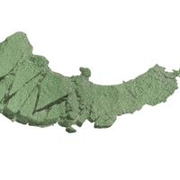 Тени для век одноцветные Wet n Wild Color Icon Eyeshadow Single E350a envy миниатюра фото №2