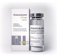 Амикацин порошок для приг. раствора для в/в и в/м введ. 1000мг