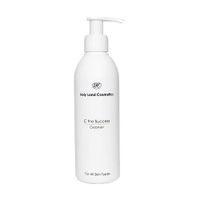 Очиститель Cleanser the success Holy Land 250мл